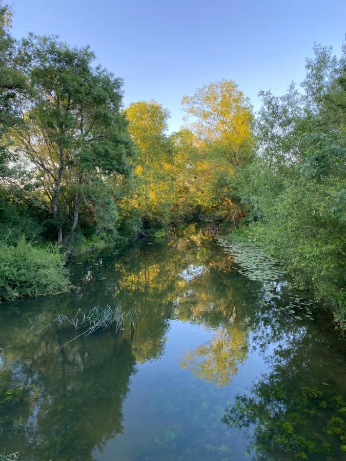 Studio Indre Climatise, La Halte De Cuze, Aux Abords De La Loire A Velo Huismes Ngoại thất bức ảnh