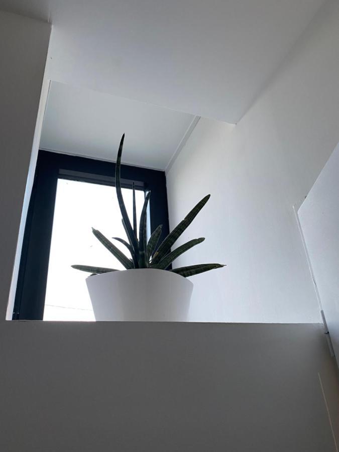 Studio Indre Climatise, La Halte De Cuze, Aux Abords De La Loire A Velo Huismes Ngoại thất bức ảnh