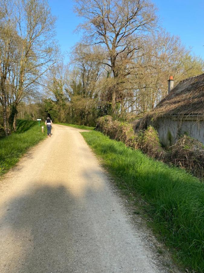 Studio Indre Climatise, La Halte De Cuze, Aux Abords De La Loire A Velo Huismes Ngoại thất bức ảnh