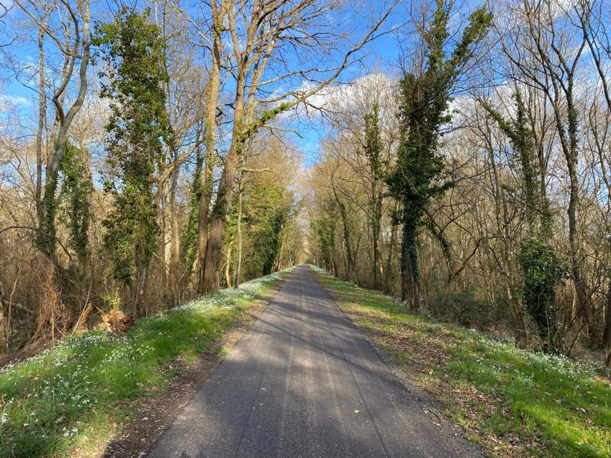 Studio Indre Climatise, La Halte De Cuze, Aux Abords De La Loire A Velo Huismes Ngoại thất bức ảnh