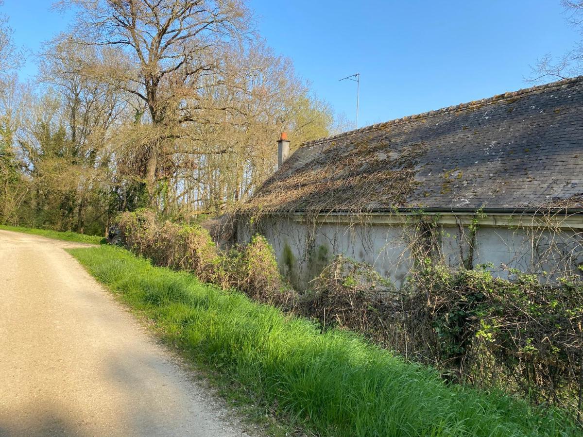 Studio Indre Climatise, La Halte De Cuze, Aux Abords De La Loire A Velo Huismes Ngoại thất bức ảnh